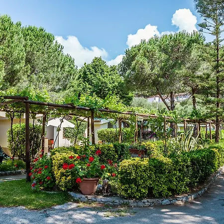 Villaggio Torre Saracena Aparthotel Camerota